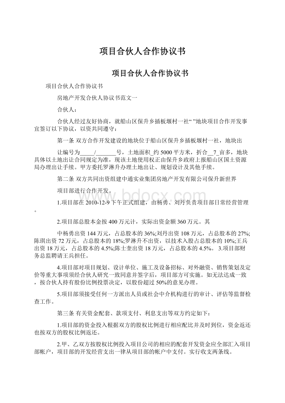 项目合伙人合作协议书.docx