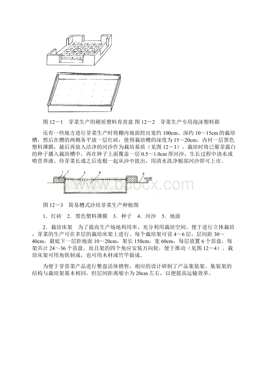 芽苗菜的无土栽培技术.docx_第3页