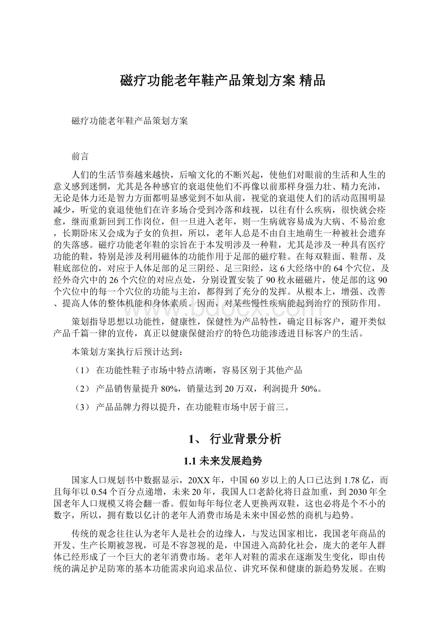 磁疗功能老年鞋产品策划方案 精品.docx