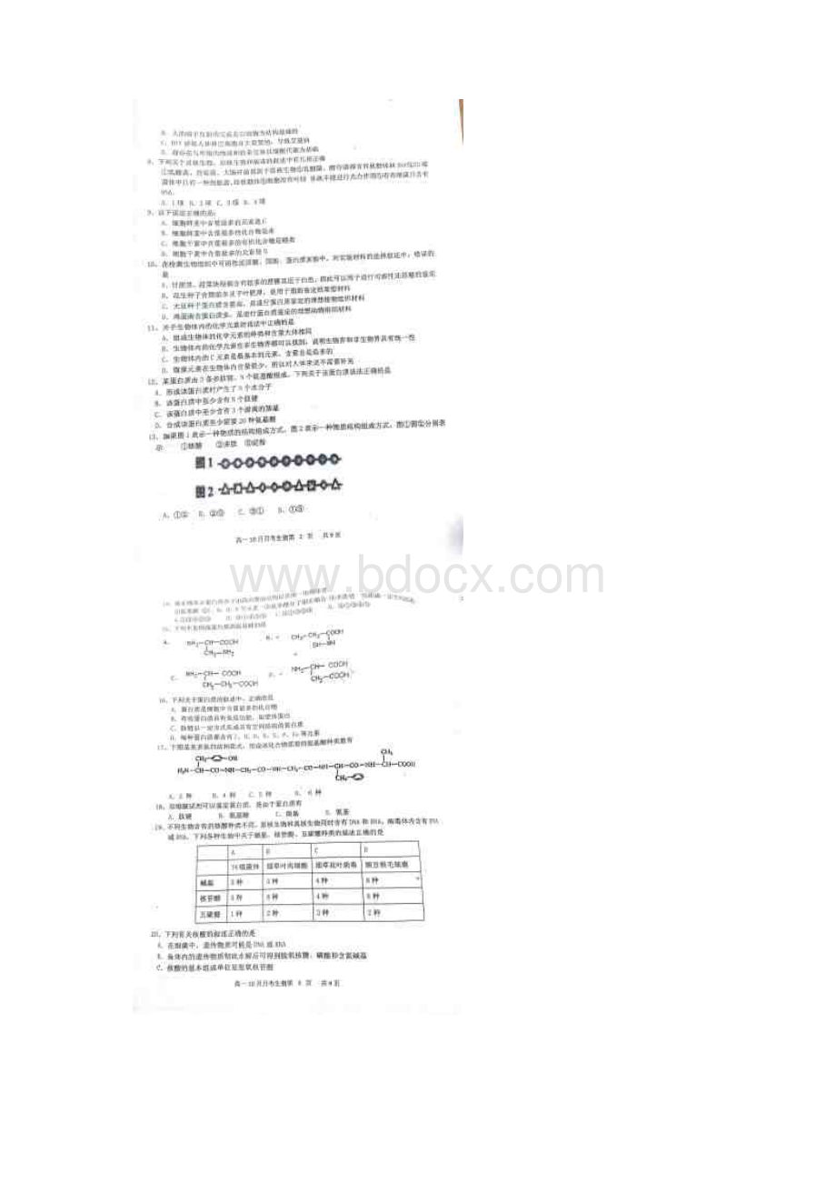 学年河北省望都中学高一月考生物试题.docx_第2页