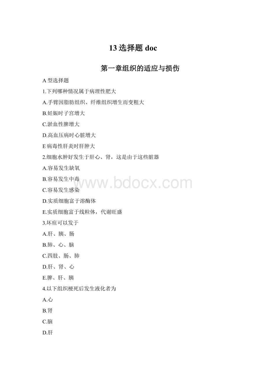 13选择题docWord格式文档下载.docx