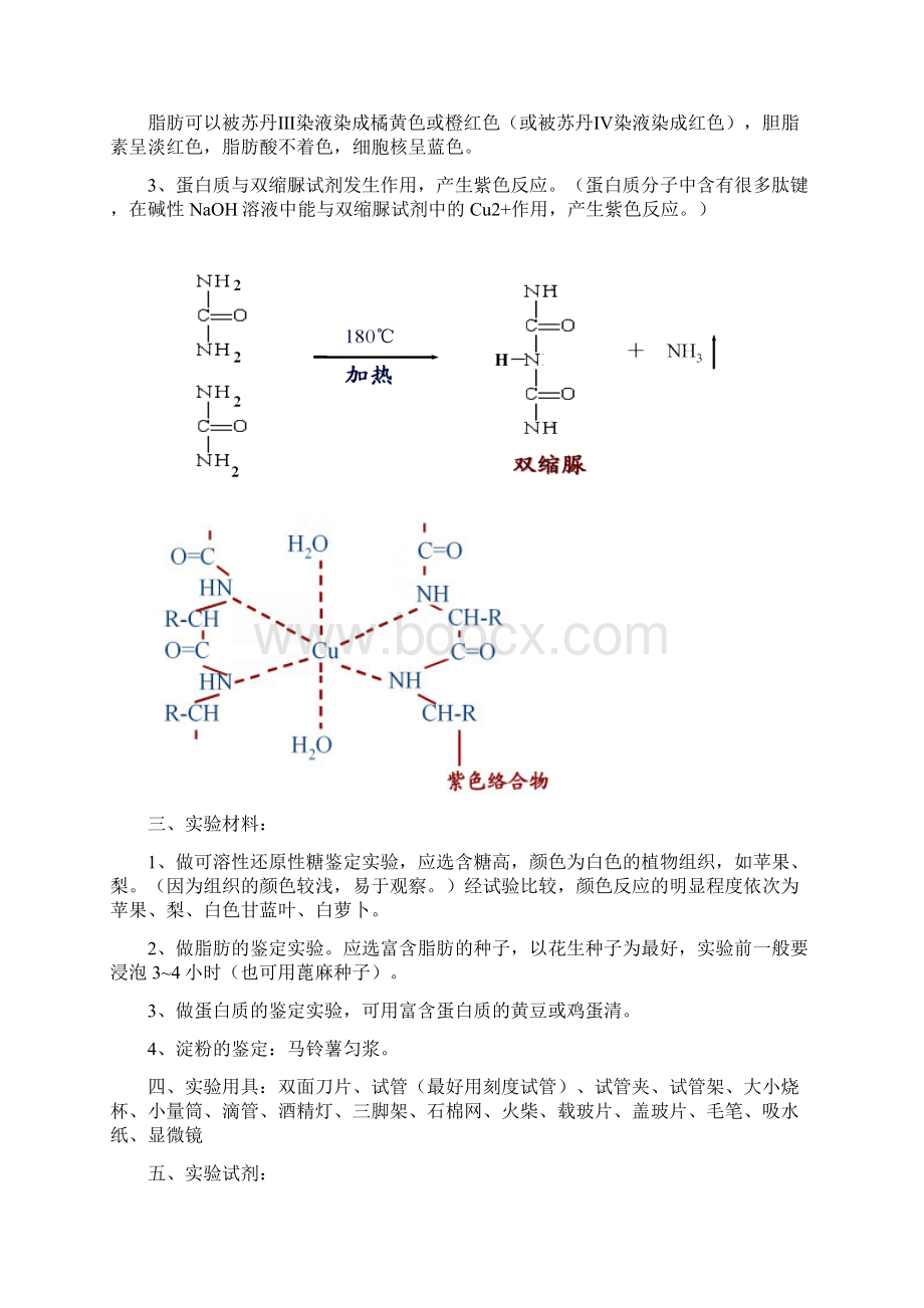 高中生物实验大全详.docx_第3页