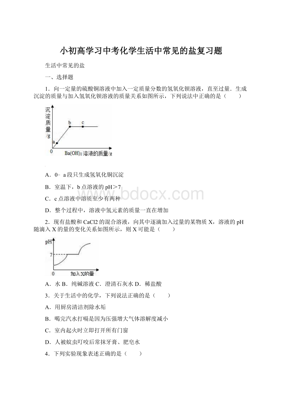 小初高学习中考化学生活中常见的盐复习题.docx