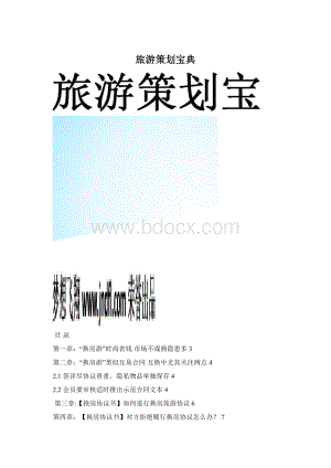 旅游策划宝典.docx