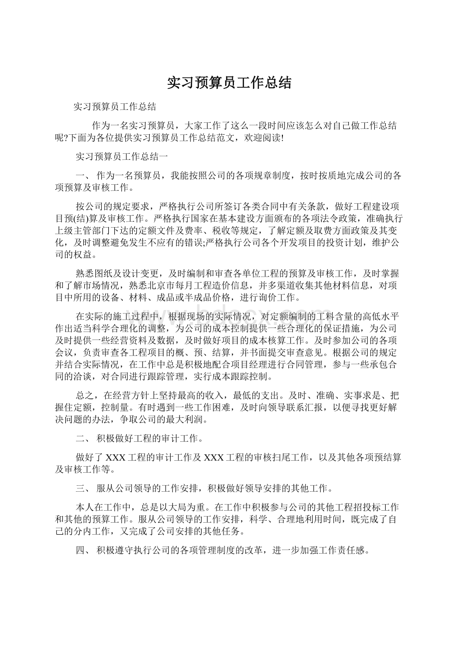 实习预算员工作总结.docx_第1页