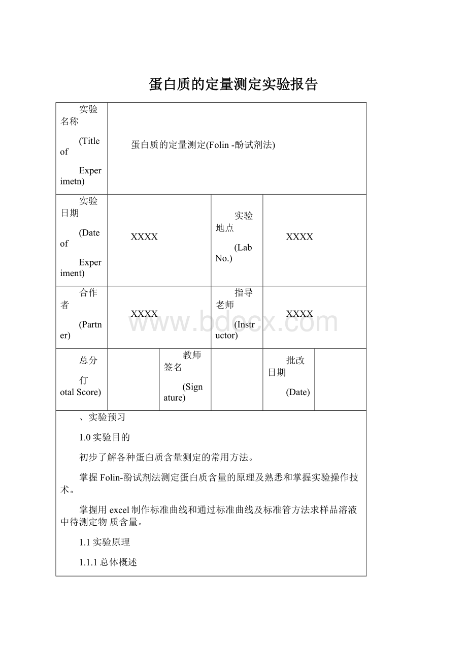 蛋白质的定量测定实验报告Word文档下载推荐.docx