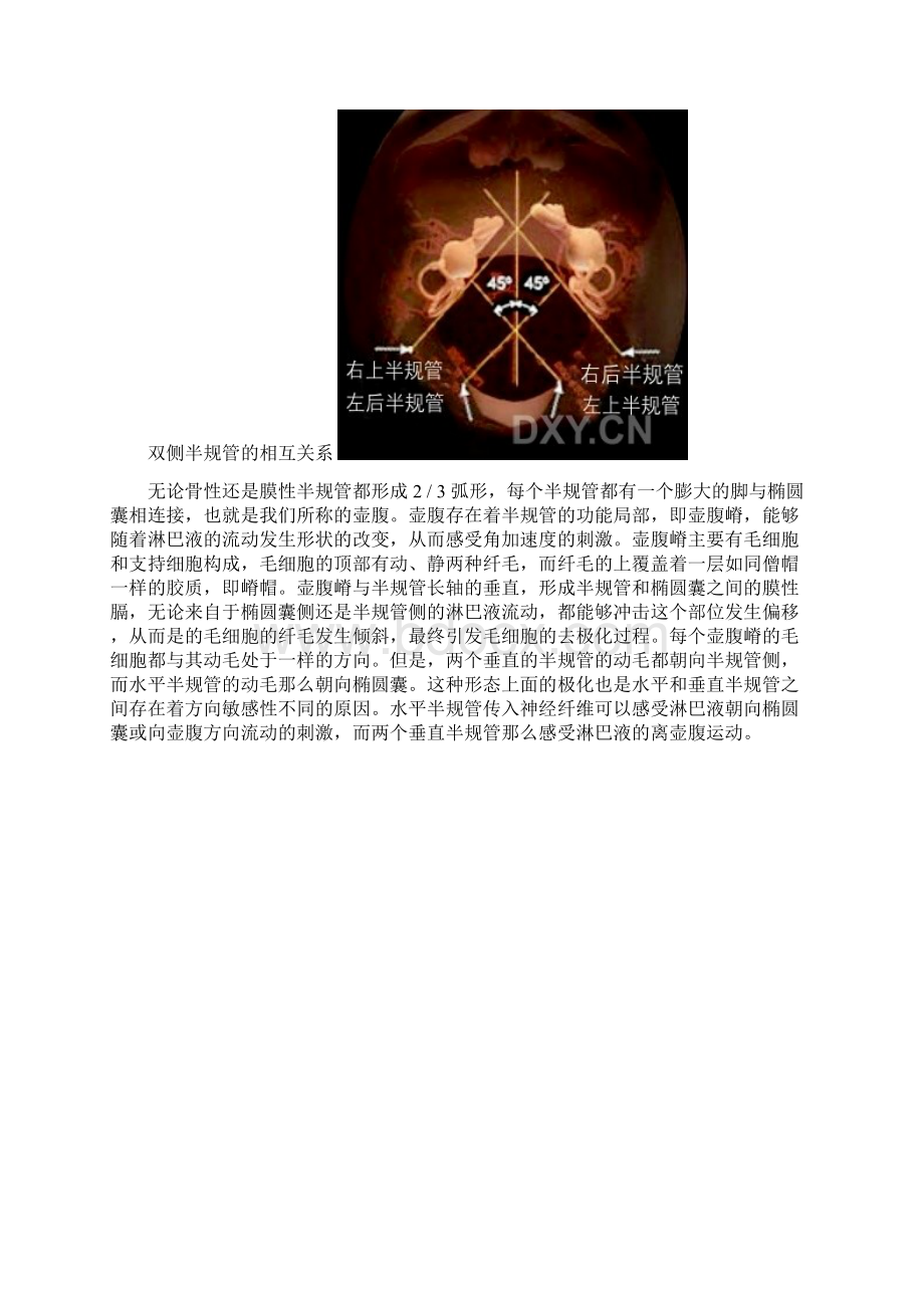 BPPV的最全面讲解Word下载.docx_第3页