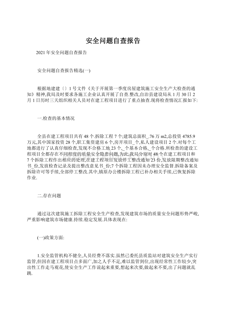 安全问题自查报告文档格式.docx