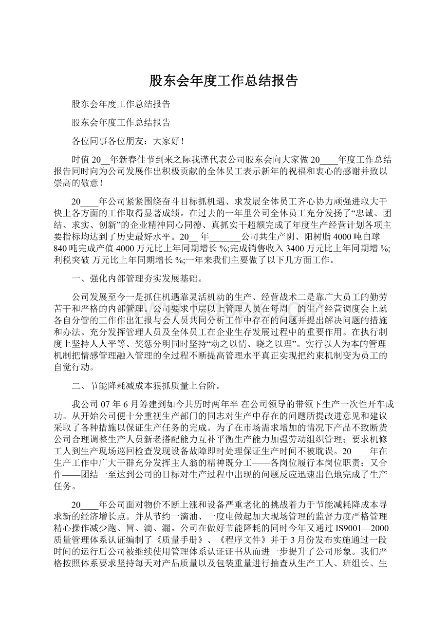 股东会年度工作总结报告文档格式.docx