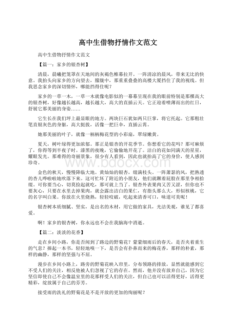 高中生借物抒情作文范文Word格式.docx