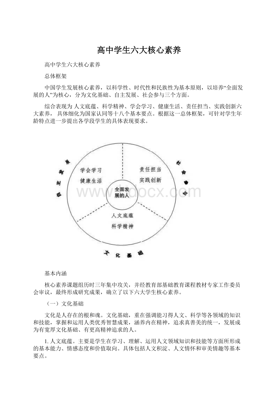 高中学生六大核心素养Word格式.docx_第1页