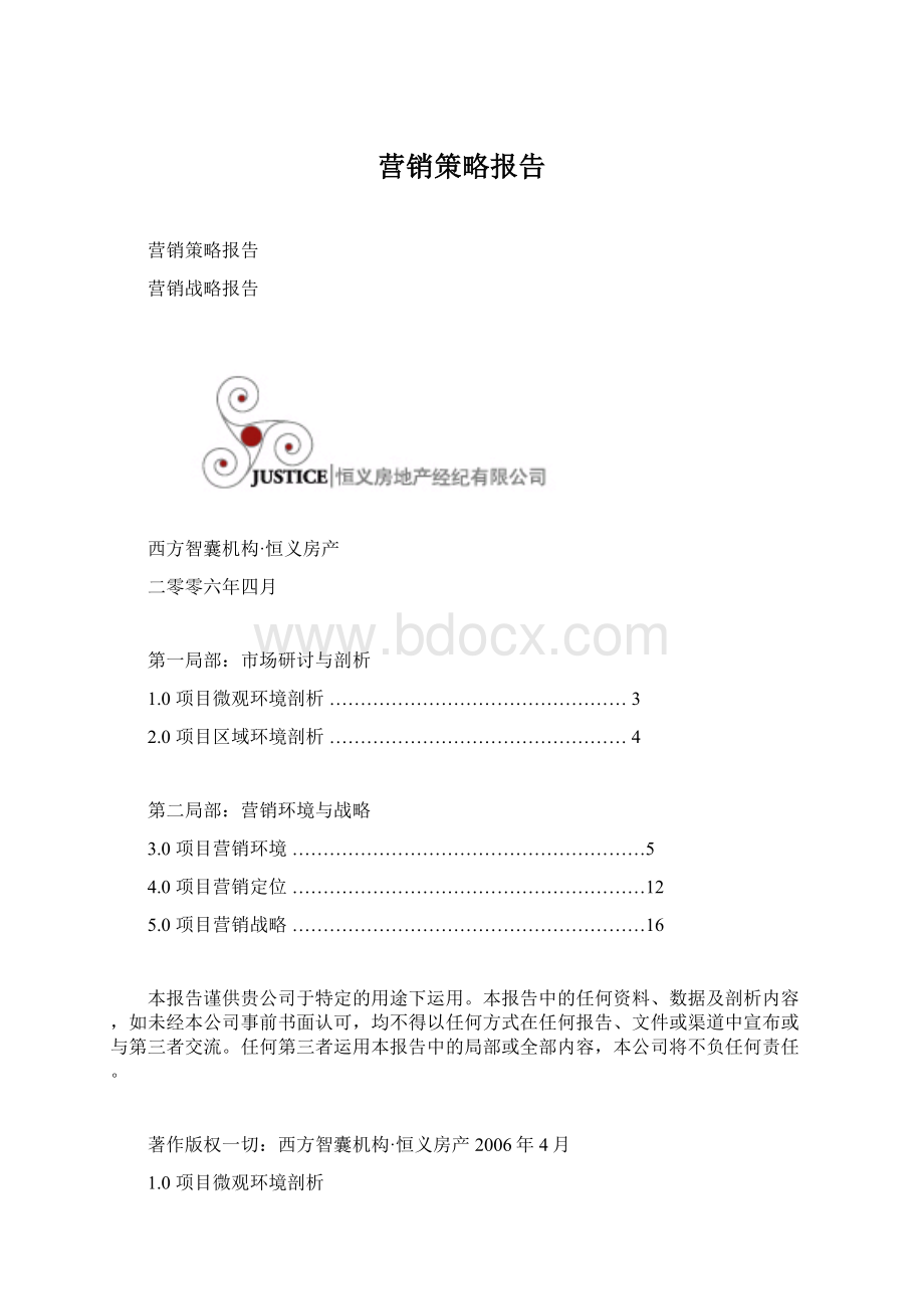 营销策略报告文档格式.docx_第1页