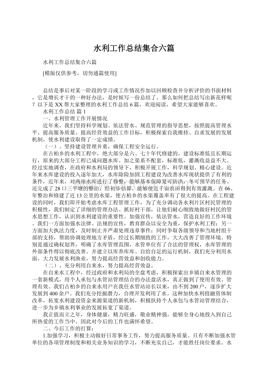 水利工作总结集合六篇文档格式.docx