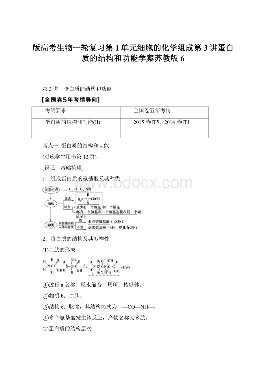 版高考生物一轮复习第1单元细胞的化学组成第3讲蛋白质的结构和功能学案苏教版6Word文档格式.docx