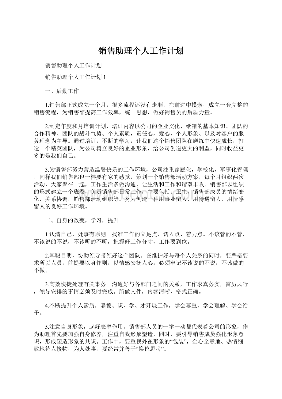 销售助理个人工作计划Word格式文档下载.docx_第1页