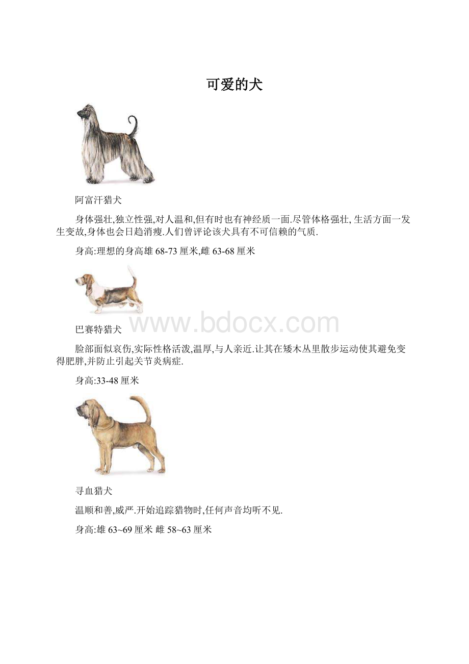 可爱的犬.docx_第1页