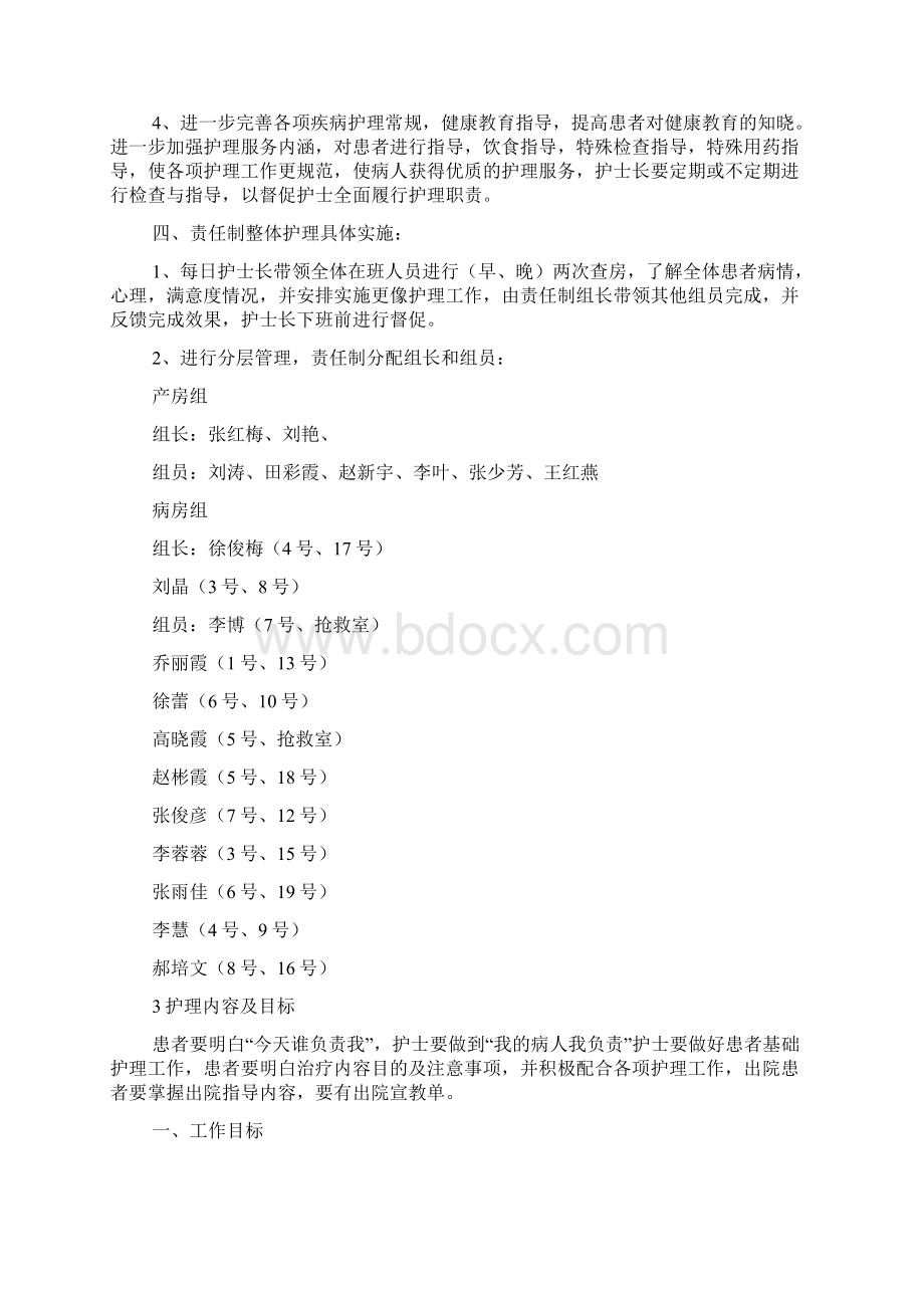 责任制护理实施方案.docx_第2页