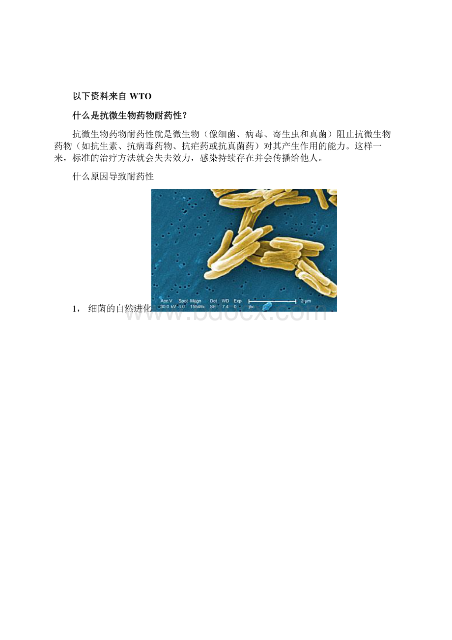 完整版细菌耐药性研究Word文件下载.docx_第2页