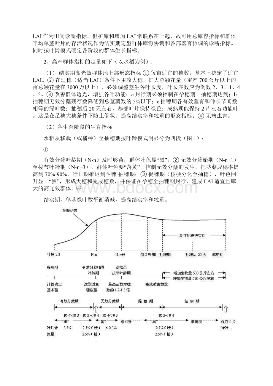 水稻精确定量栽培技术培训资料.docx_第3页