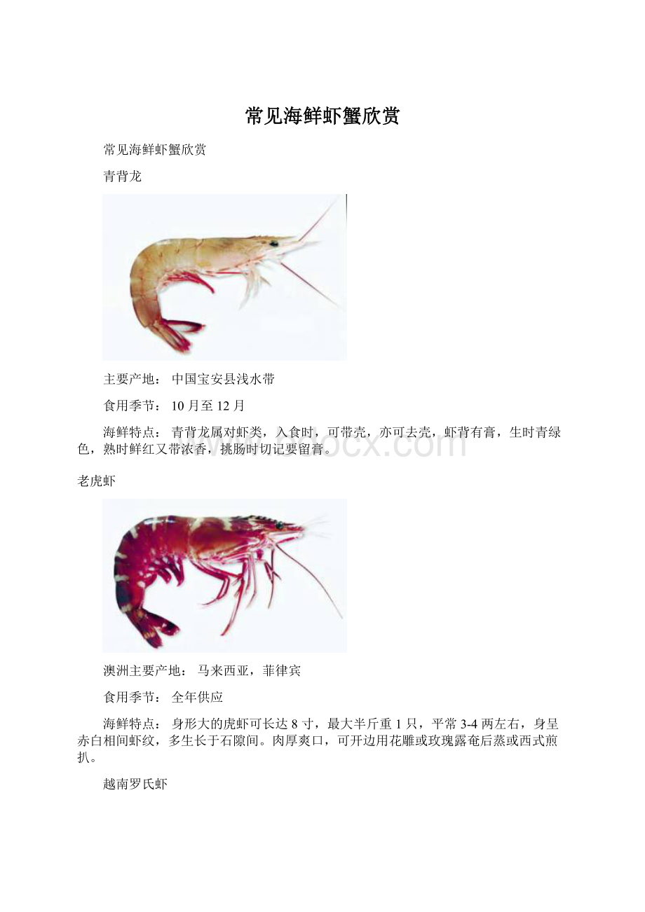 常见海鲜虾蟹欣赏Word文件下载.docx_第1页