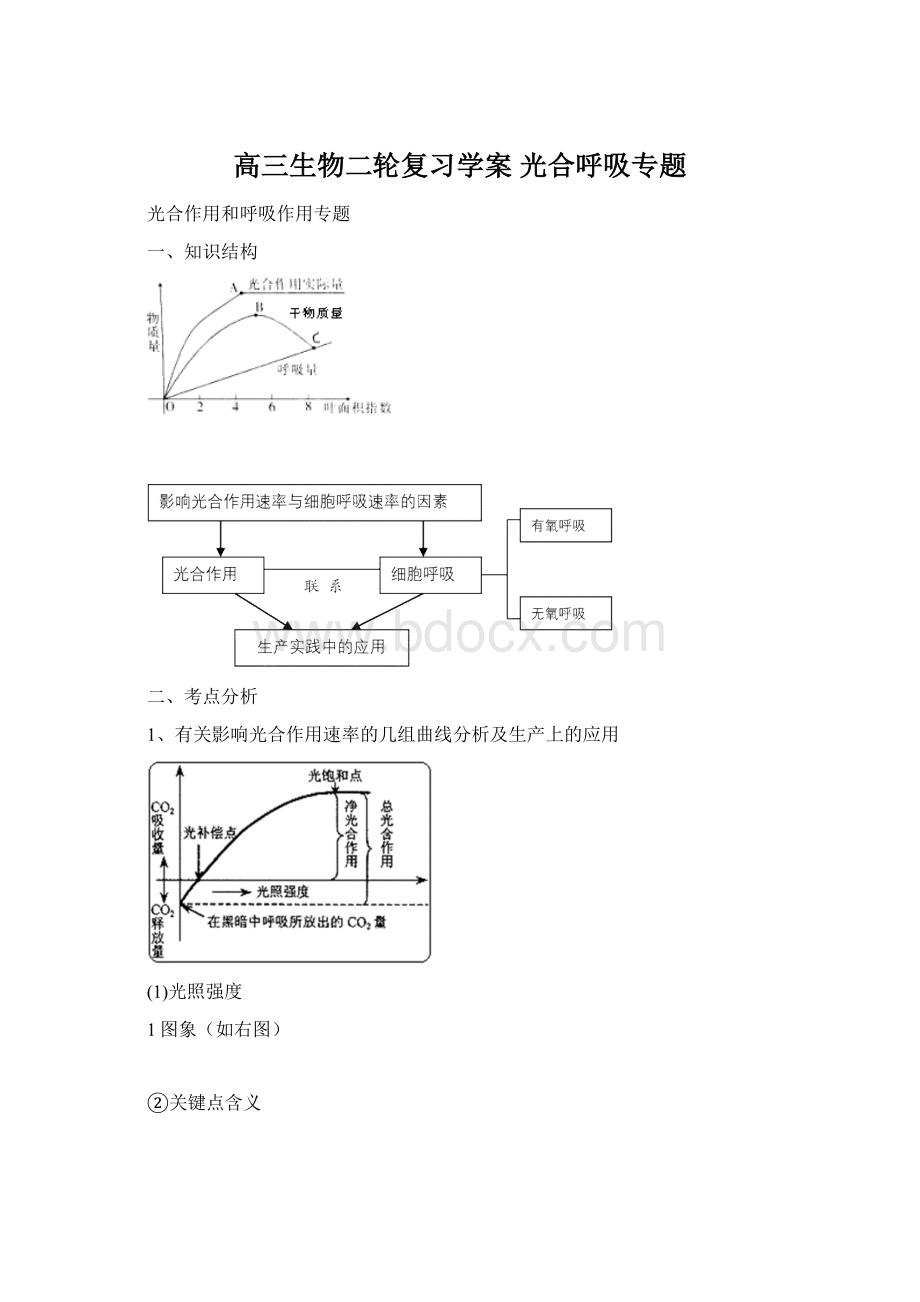 高三生物二轮复习学案 光合呼吸专题.docx