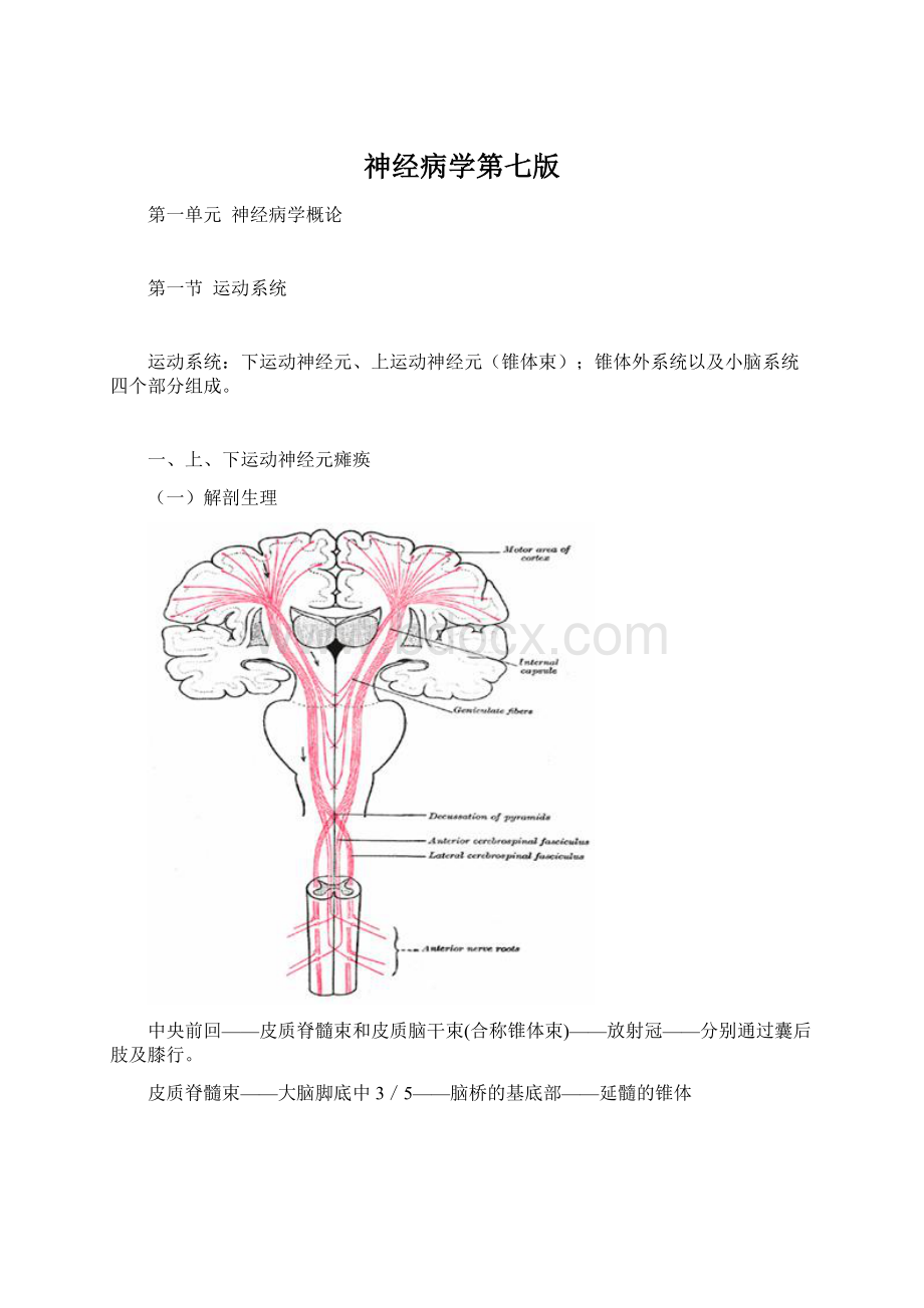 神经病学第七版Word文件下载.docx_第1页