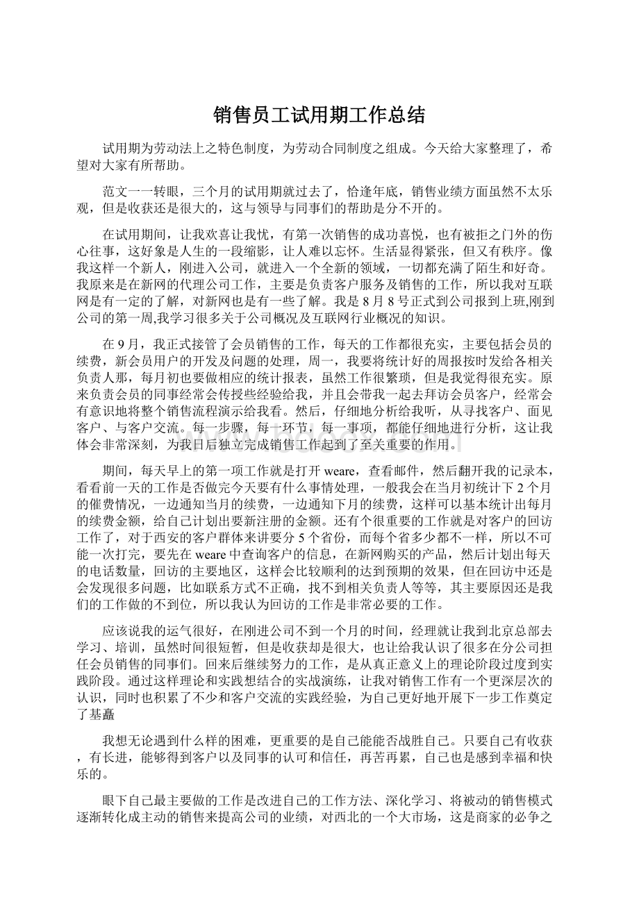 销售员工试用期工作总结Word文档下载推荐.docx_第1页