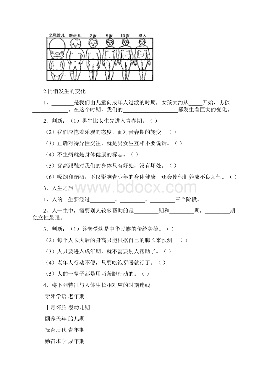 苏教六年下科学第一单元《我们长大了》习题与答案.docx_第2页