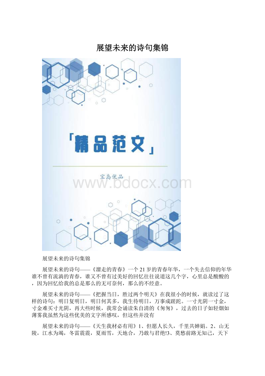 展望未来的诗句集锦.docx