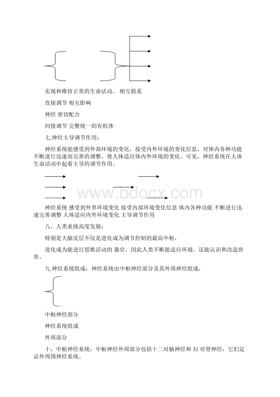 神经系统小结.docx_第2页