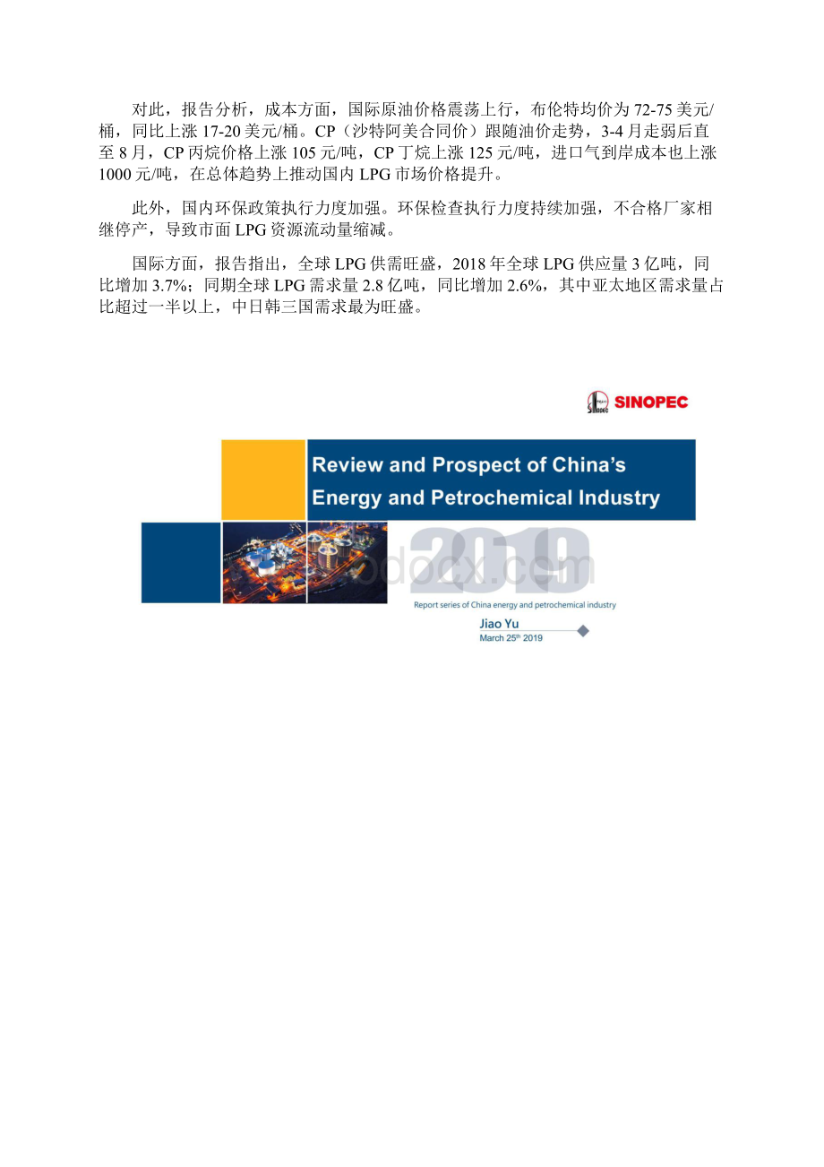 中国石化中国能源化工产业发展报告.docx_第2页