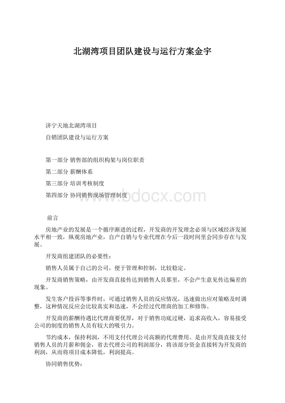 北湖湾项目团队建设与运行方案金宇Word文档格式.docx