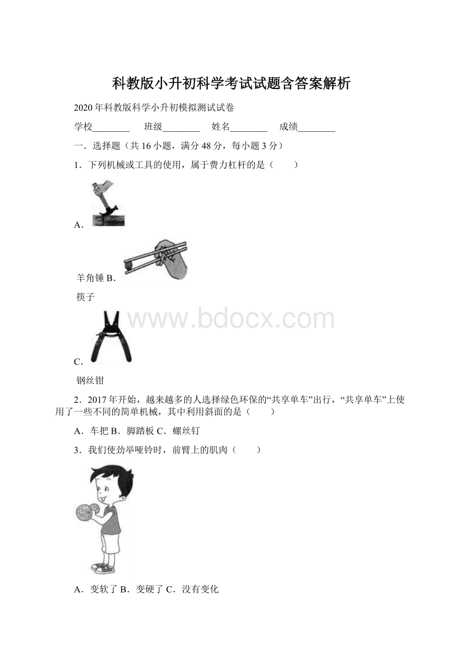 科教版小升初科学考试试题含答案解析.docx