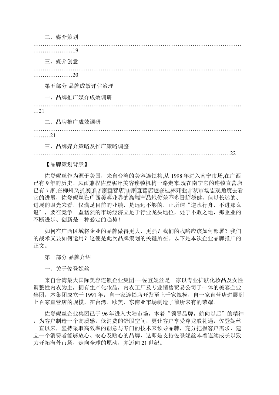 佐登妮丝品牌区域策略案1Word下载.docx_第2页