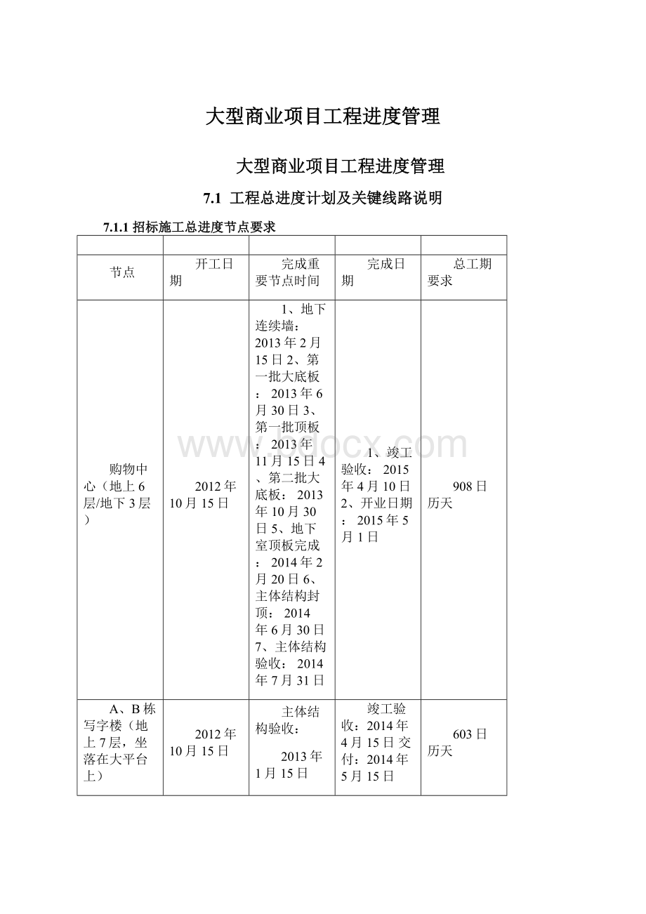 大型商业项目工程进度管理Word文档格式.docx