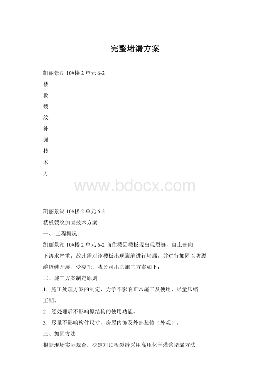 完整堵漏方案Word文件下载.docx