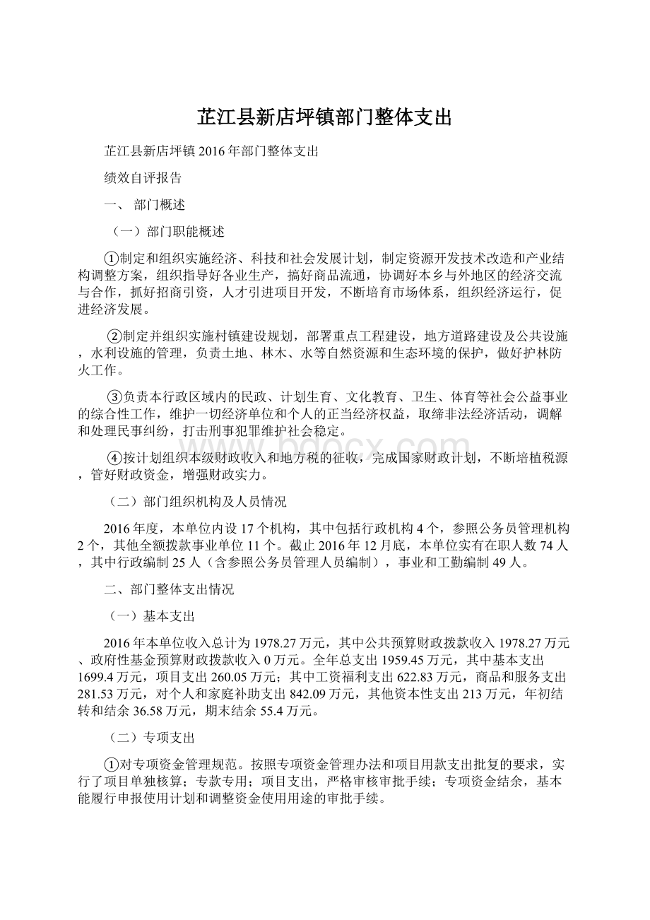 芷江县新店坪镇部门整体支出Word文档下载推荐.docx