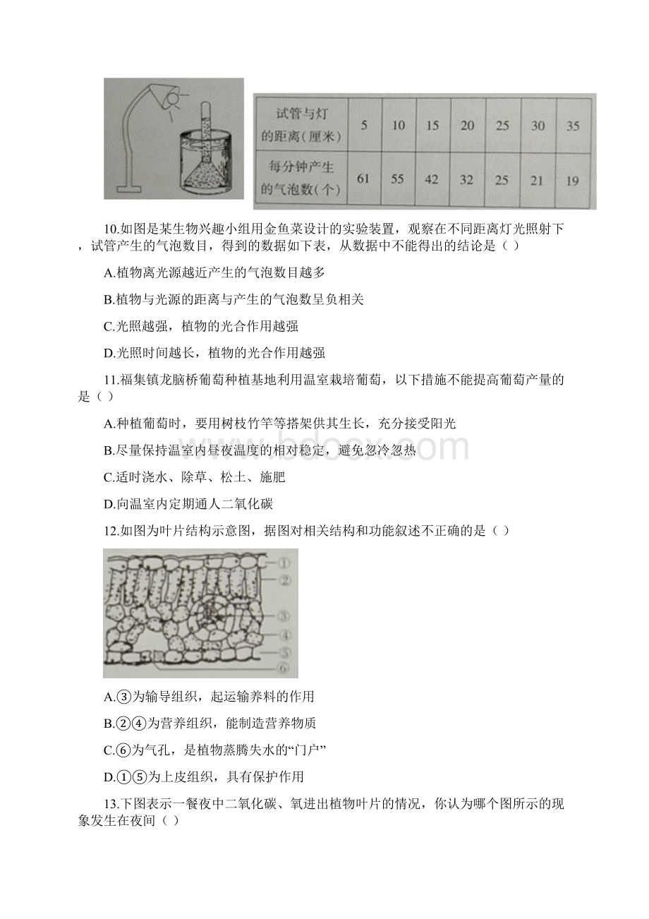 北师大版七年级上册生物第三单元第5章绿色开花植物的生活方式 测评卷word版含答案文档格式.docx_第3页