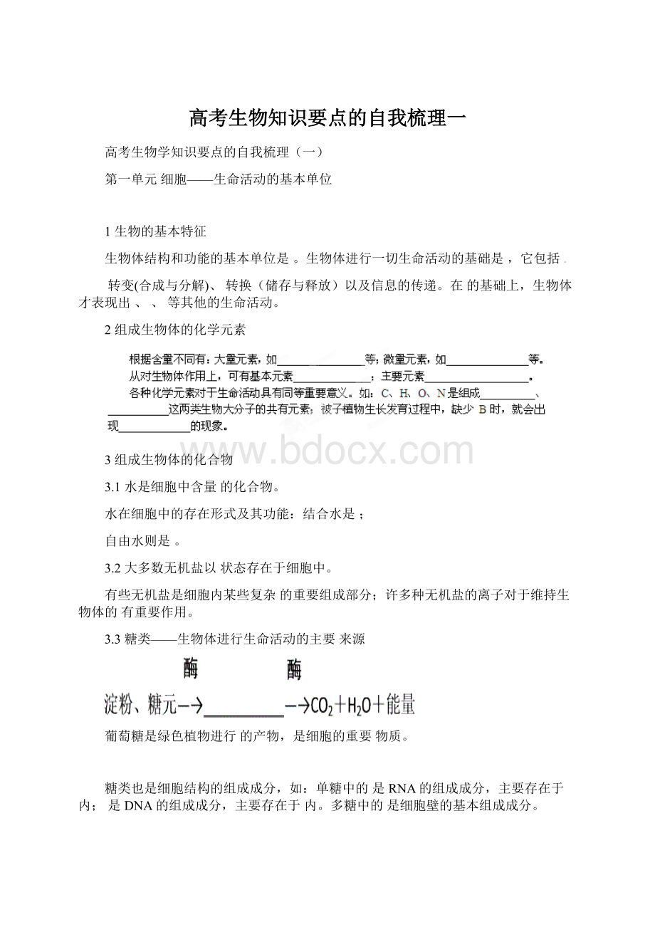 高考生物知识要点的自我梳理一Word格式文档下载.docx