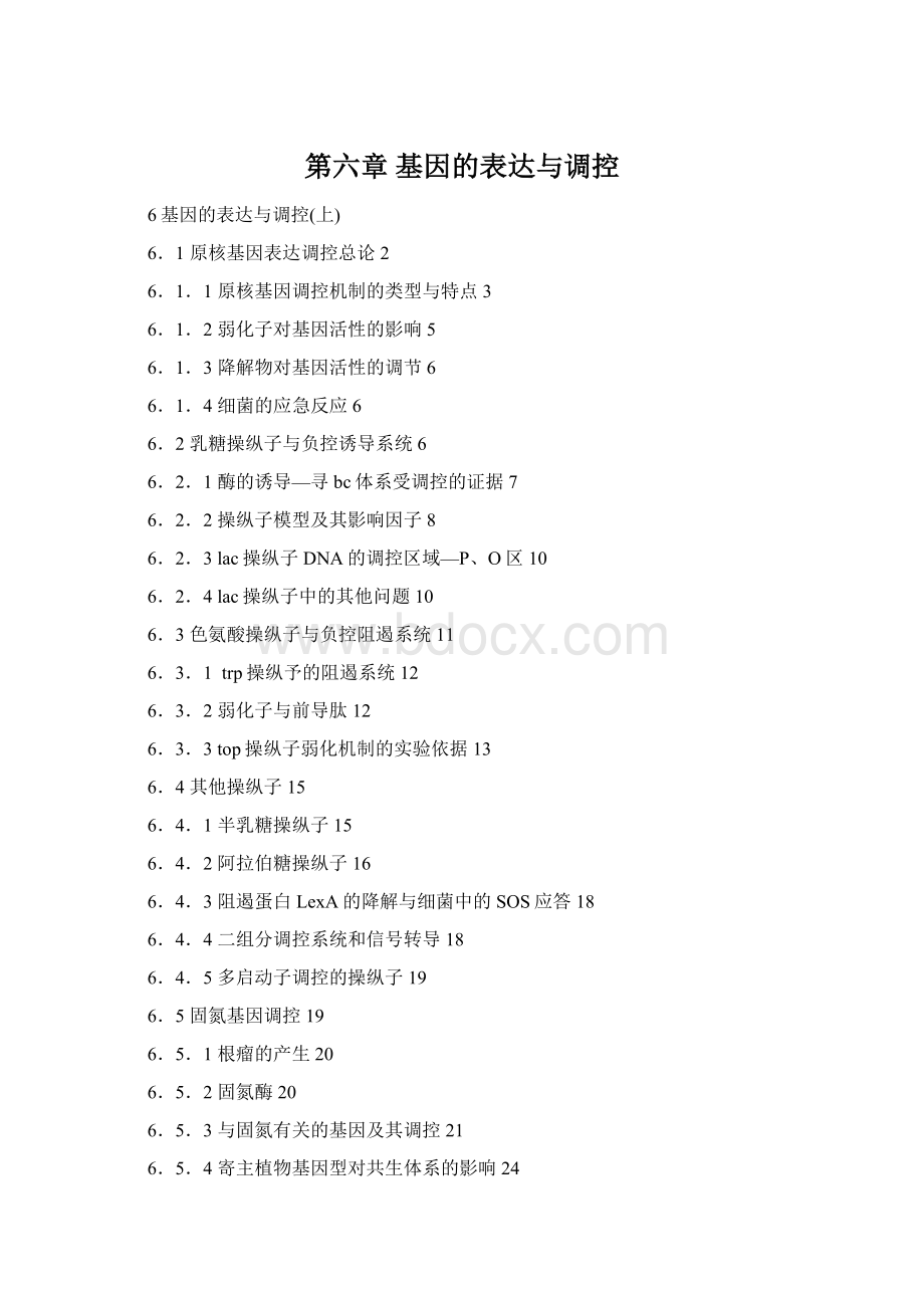 第六章 基因的表达与调控Word文档下载推荐.docx_第1页