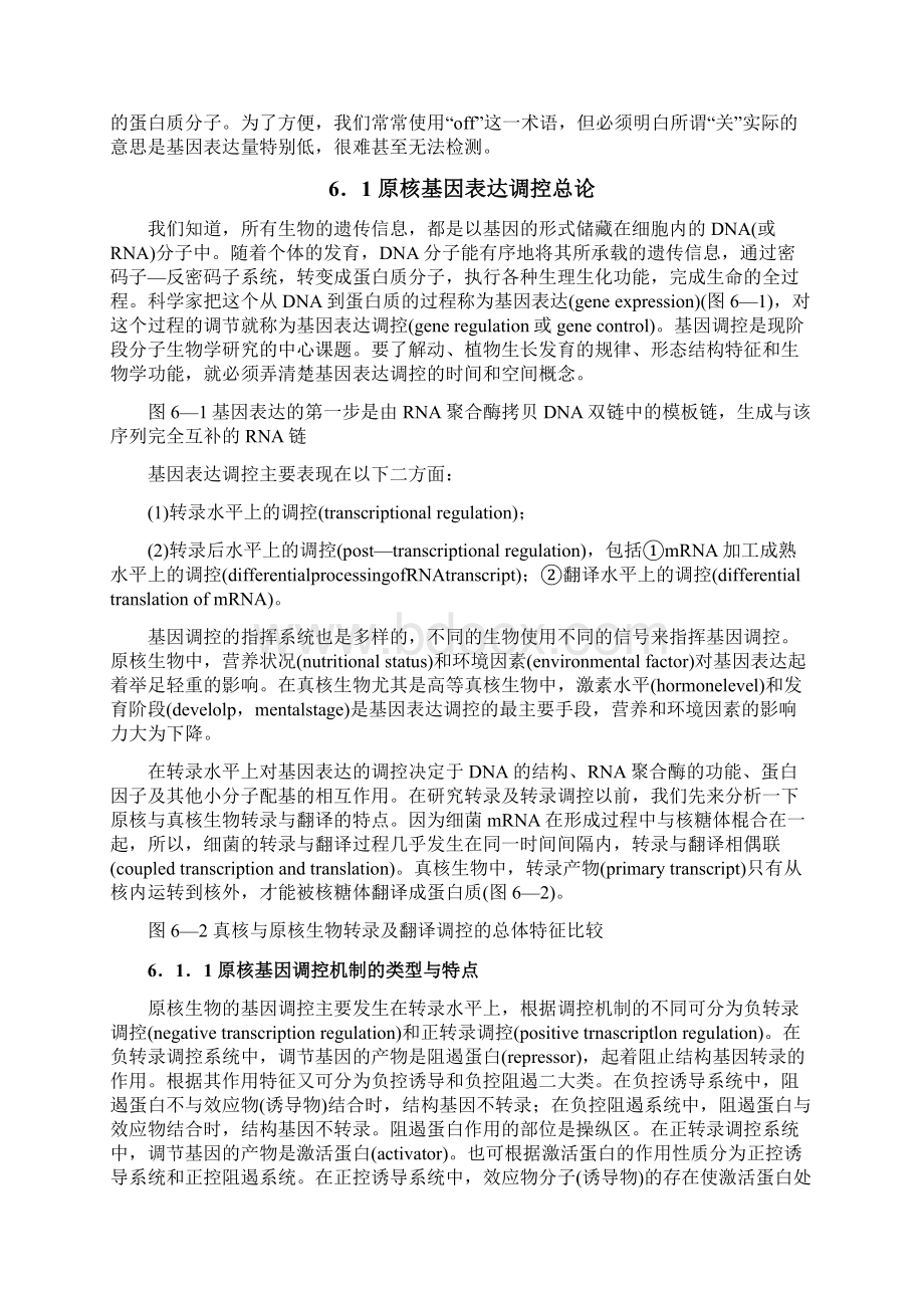 第六章 基因的表达与调控Word文档下载推荐.docx_第3页