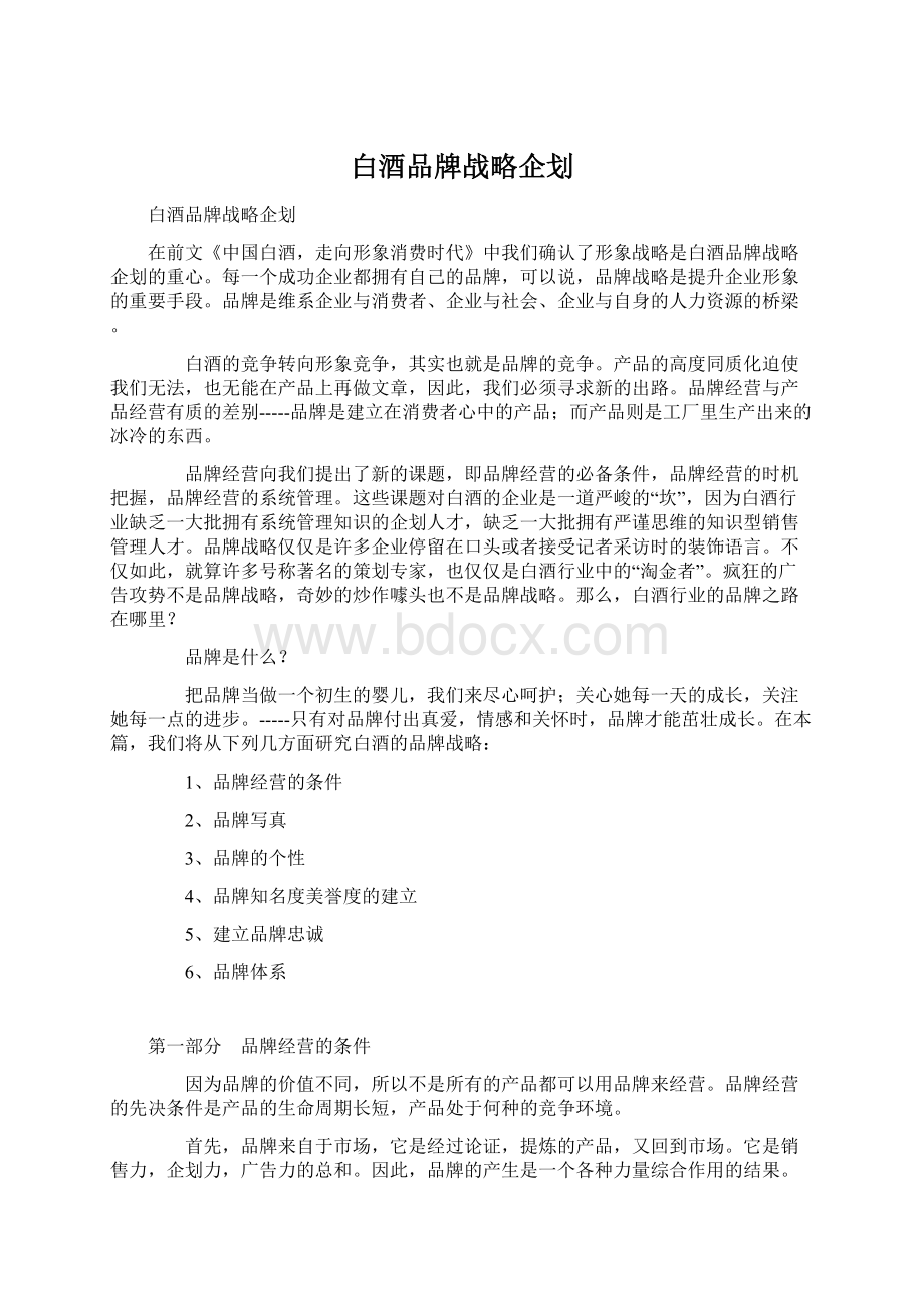 白酒品牌战略企划文档格式.docx