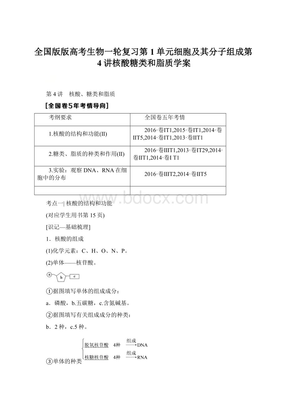 全国版版高考生物一轮复习第1单元细胞及其分子组成第4讲核酸糖类和脂质学案.docx