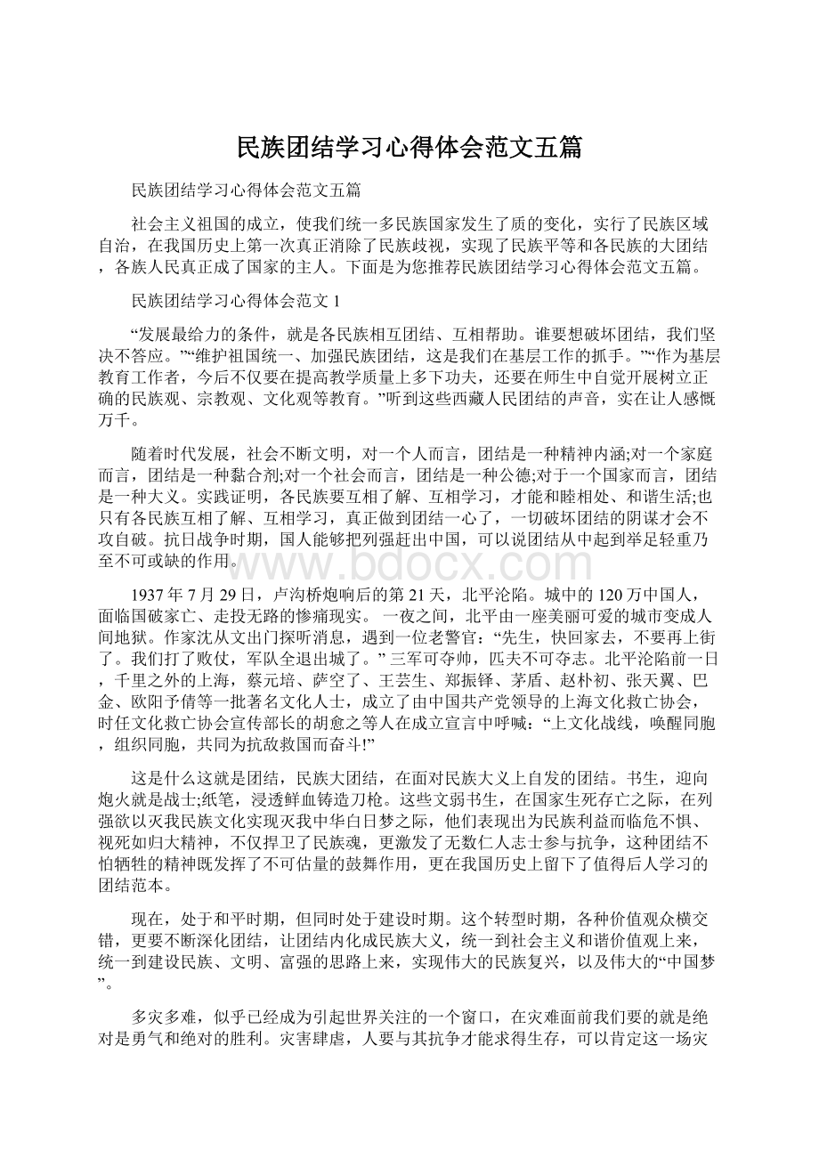 民族团结学习心得体会范文五篇文档格式.docx