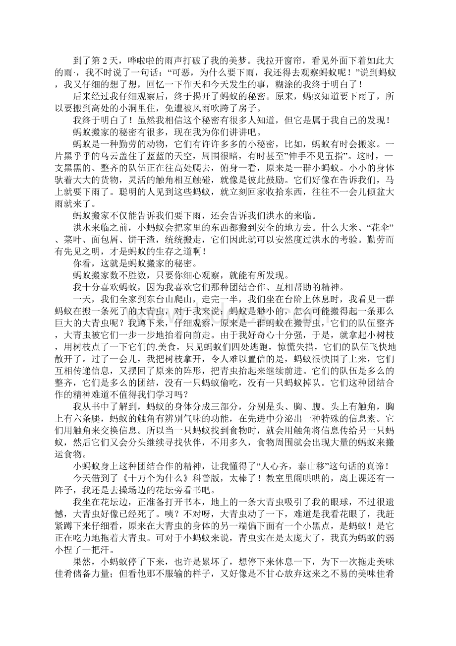 蚂蚁的秘密四年级作文Word文件下载.docx_第2页