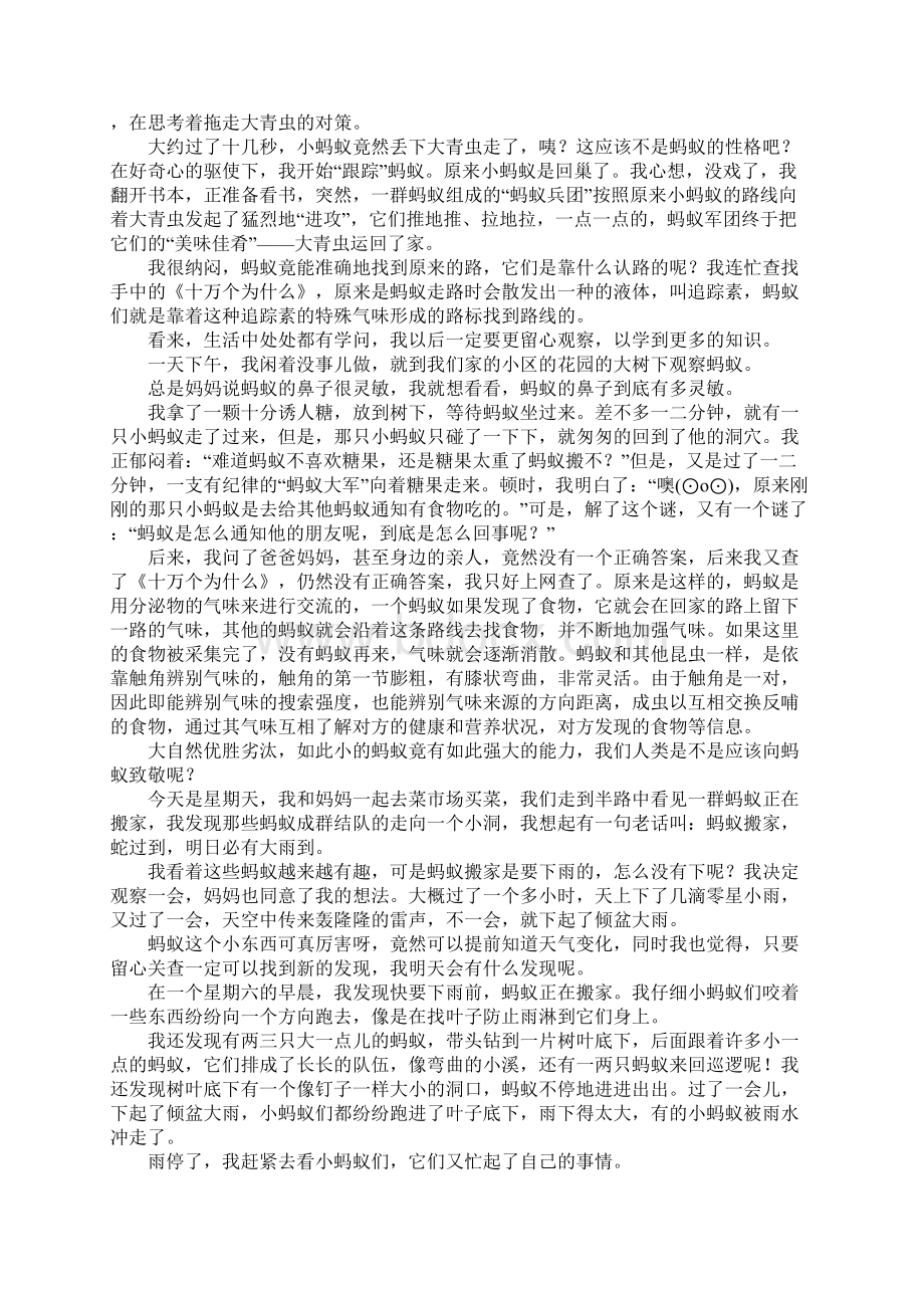 蚂蚁的秘密四年级作文Word文件下载.docx_第3页