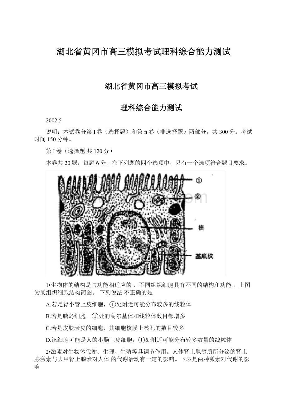 湖北省黄冈市高三模拟考试理科综合能力测试Word格式文档下载.docx_第1页