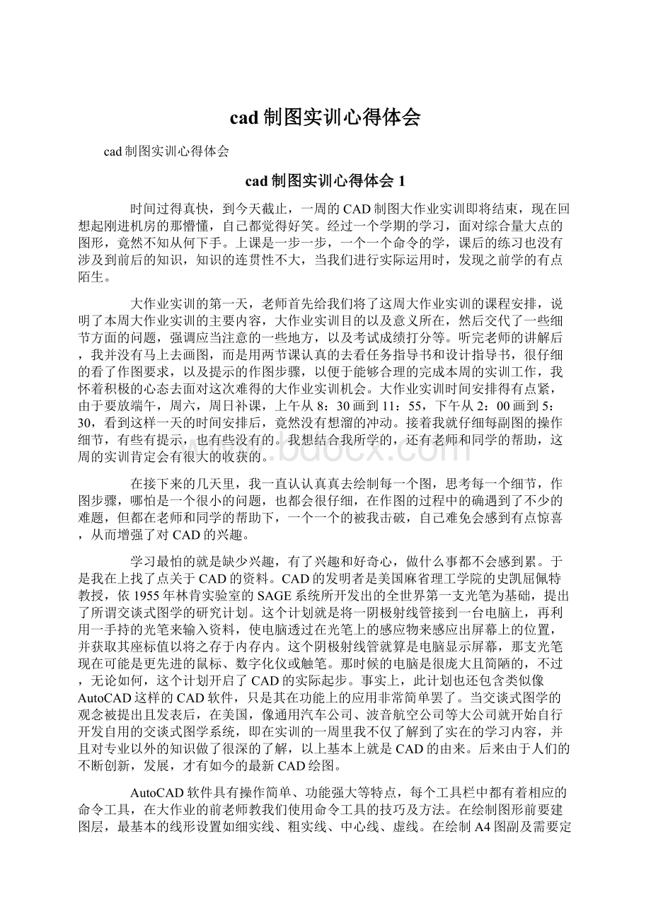 cad制图实训心得体会Word文档格式.docx