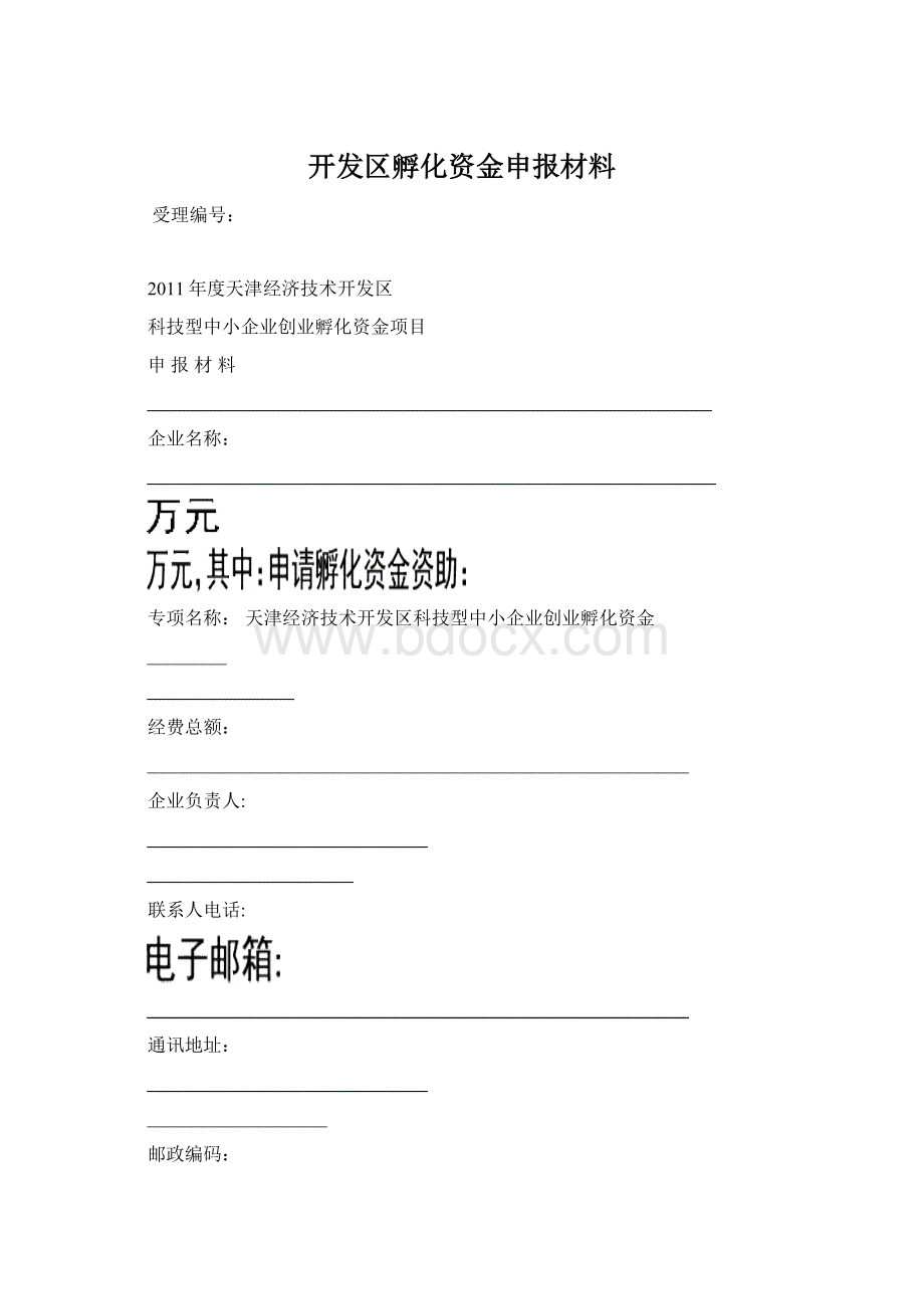 开发区孵化资金申报材料.docx_第1页