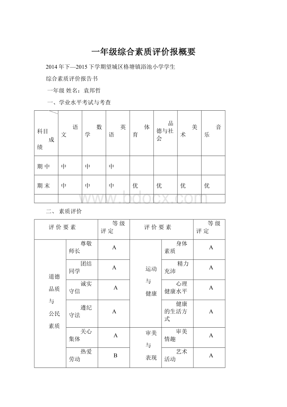 一年级综合素质评价报概要.docx